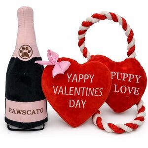 Valentine's Day Dog Toy Set - Pampered Pet Box